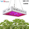 1200W LED Grow Lights For Indoor Plants